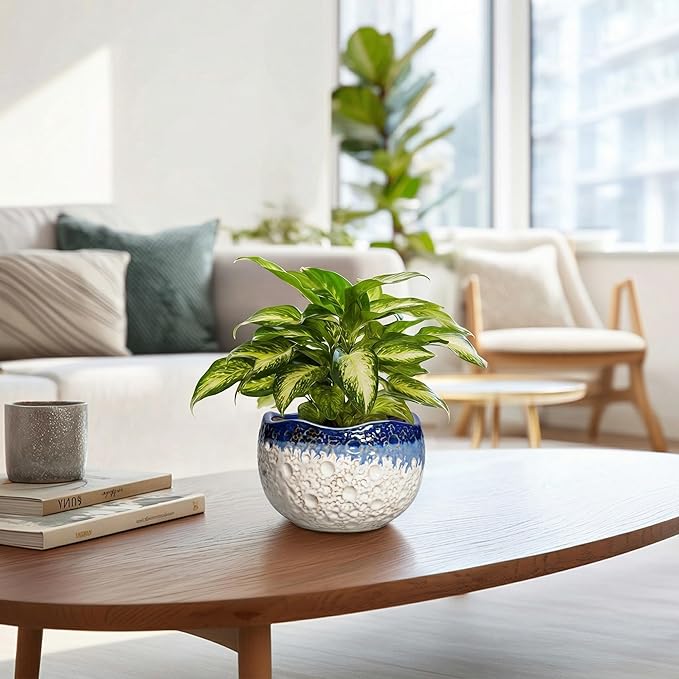 Ceramic Plant Pots - 6 Inch Orchid Pot for Indoor Outdoor Plants, Unique Pots for Plants with Drainage Hole and Plug, Modern Round Planter, Garden House Decor, Housewarming Gifts, Beige-blue