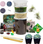 Cute Farms Terrarium Starter Kit | Moss, Vermiculite, Soil, Pebbles, Plant Food, & Finishing Tools (Large Kit + Live Plants + Crystals)