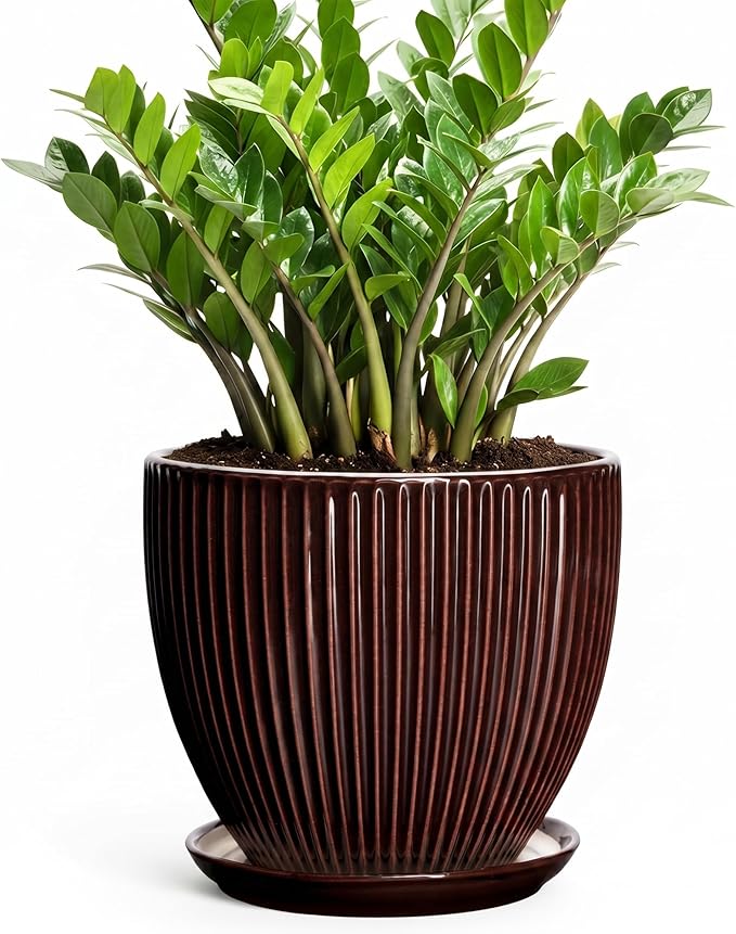 Ceramic Pots for Plants 10 Inch, Indoor Planter with Drainage Hole and Saucer, Large Round Decorative Ceramic Plant Pots, Modern Flower Planter, Patio Room Decor, Gifts for Plant Lovers, Brown