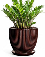 Ceramic Pots for Plants 10 Inch, Indoor Planter with Drainage Hole and Saucer, Large Round Decorative Ceramic Plant Pots, Modern Flower Planter, Patio Room Decor, Gifts for Plant Lovers, Brown