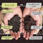 Rosy Soil Aroid Soil Potting Mix - Peat-Free, Microbially Active Biochar Powered Soil for Aroids - Superior Aeration & Drainage for Aroid Plants - Ideal for Indoor Gardening - 4 Quarts
