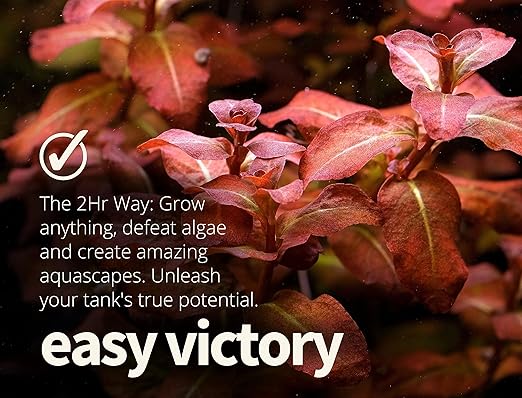 2HR Aquarist All-in-one Aquarium Plant Fertilizers APT 3 / Complete (300ml)