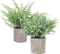 2 Pack Life-Like Potted Fake Plant, Artificial Plants Indoor, Artificial Frost-Hung Green Plants, Eco-Friendly Gray Pot, No Need for Maintenance, Ideal Decor for Home and Office