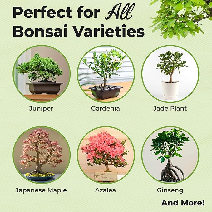 Bonsai Fertilizer Pellets by Perfect Plants - 5 Year Supply - All Natural Slow Release - Extended Enrichment for All Live Bonsai Tree Types