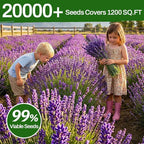 LUOJIBIE Lavender Seeds, 20000+ Seeds Bulk Pack, 2026 Lavender Seeds for Planting Outdoor, High Germination Non-GMO, Wildflower Seeds for Planting Indoor Outdoor, Open Pollinated