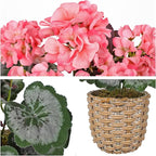 Briful Artificial Pink Geranium Flowers in Woven Basket, 14.5’’ Tall Silk Flower Arrangement, Realistic Geraniums Artificial Outdoor Plants for Home Indoor Farmhouse Table Wedding Centerpiece Decor
