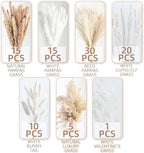 96PCS Natural Dried Pampas Grass Boho Home Decor Bouquet Phragmites Dried Flowers Bouquet for Wedding Floral Arrangements Living Room Decorations (96PCS)