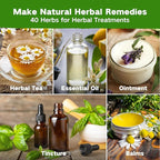 Lush&Dew Ancestral Apothecary Medicinal Tea Herb Seed Chest, 36,000+ Non-GMO Survival Seed Kit, Gardening Gifts for Women Men, 40 Types Heirloom Garden Seeds for Planting Herbs, Raised Bed Windowsill