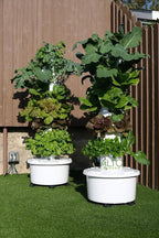 GX Hydroponic Tower | Vertical Planter Tower | Hydroponics Growing System Kit | Food Grade with 24 Net Pots (Without Lights)