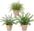 3 Pack Artificial Fern Plant, Small Fake Plants in Pot, Faux Fern Plant for Home Office Farmhouse Living Room Bathroom Kitchen Tabletop Desk Shelf Decoration