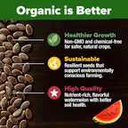 HOME GROWN Organic Crimson Sweet Watermelon Seeds 15+ Heirloom Non-GMO, High Germination, Honey Sweet Summer Fruit, Striped Skin, Home Garden & Raised Beds, High Sugar Content (Citrullus lanatus)