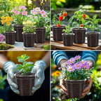 36 Packs 6.5/5/4/3.5 Inch Reinforced Clear Nursery Pots with Drainage Hole, Variety Pack High Transparency Plastic Seedling Plant Pot with 20 Labels