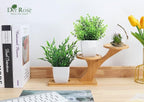 Der Rose 2 Pack Fake Plants Mini Artificial Greenery Potted Plants for Home Decor Indoor Office Table Room Farmhouse