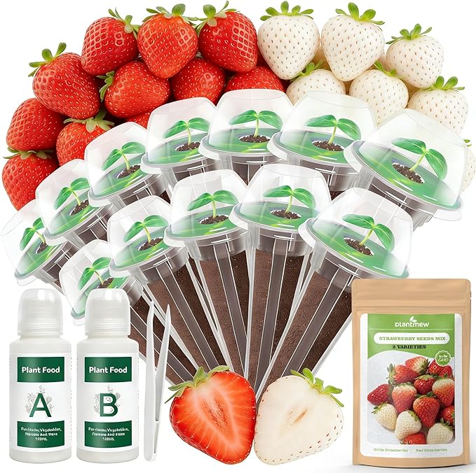 12-Pod Strawberry Seed Kit Compatible with All Hydroponics, 2 Pack Varieties: Big Fruited Red & White Alpine Strawberry - Universal Seed Starter Pods, Easy to Grow, High Germination