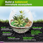DUSPRO Recycle Terrarium Kit, Include Potting Soil, Pumice, Zeolite, Green Moss, Sphagnum Moss, Decorative Stone, Mesh, Tools, DIY Terrarium Kit for Kids, Air Plant, Succulent
