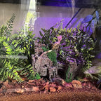 5 PCS Tank Accessories for Bearded Dragon Include Resin Classical Castle Reptile Climb Habitat Decor Hanging Jungle Vines Flexible Leaves Climbing Decor for Lizard Gecko Chameleon Spider