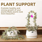 2PCS Small Gold Trellis for Climbing Plants Indoor, Mini Metal Houseplant Climber Support for Potted Plants, Boho Decorative Pot Lattice with Agate for Hoya, Pothos, Ivy, Philodendron