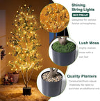Olive Trees Artificial Indoor, 7FT Tall Faux Olive Tree with Light Kit Moss and Planter, Faux Plants Indoor with Natural Wood Trunk and Lifelike Fruits, Fake Tree for Home Office Living Room Decor
