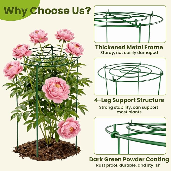 6 Pack Peony Cages and Supports, 12" x 24" Tall Peonies Support Cage, Heavy Duty Metal Peony Stakes and Supports for Rose Hydrangea Flower Plant
