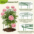 6 Pack Peony Cages and Supports, 12" x 24" Tall Peonies Support Cage, Heavy Duty Metal Peony Stakes and Supports for Rose Hydrangea Flower Plant