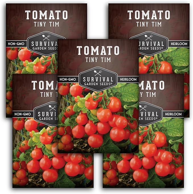 Tiny Tim Tomato Seeds - Dwarf Cherry Tomatoes for Planting Indoors or Patio, Compact Heirloom Variety for Containers, High Yield, Non-GMO - Survival Garden Seeds (5 Packs)
