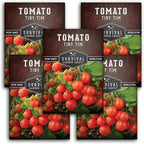 Tiny Tim Tomato Seeds - Dwarf Cherry Tomatoes for Planting Indoors or Patio, Compact Heirloom Variety for Containers, High Yield, Non-GMO - Survival Garden Seeds (5 Packs)