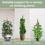 2 Pack 28'' Bendable Moss Pole Monstera Plant Support for Climbing Indoor Plants - Stakes for Potted Climbers - Tall Sticks Indoor Trellis for Houseplants - Accessories for Monstera Pot