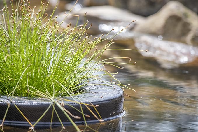 PondH2o 14" Round Floating Aquatic Water Garden Pond Planter Baskets, Floatable Aquatic Plant Flower Islands for Ponds, Aquaponics, Hydroponics and Water Features | Value 2 Pack