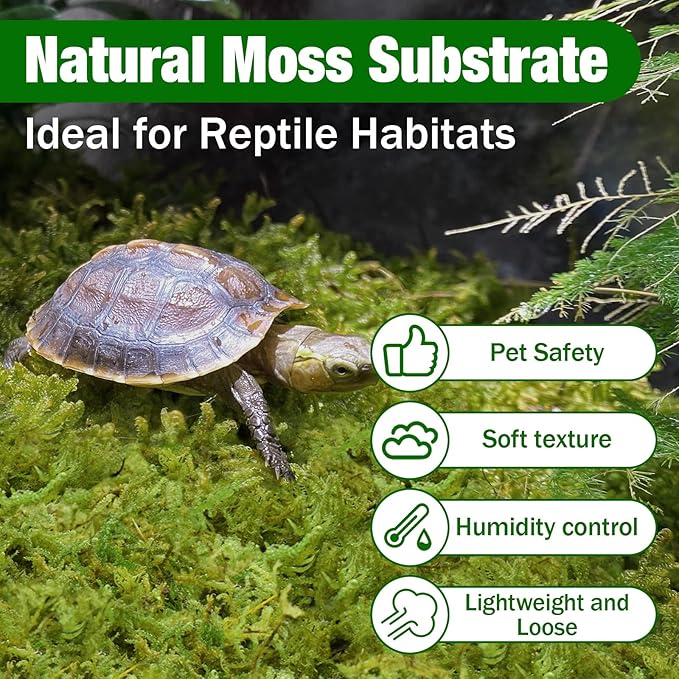 ZeeDix 2.2 lbs Forest Moss for Plants Indoor - Dried Orchid Moss for Repotting, Natural Green Sphagnum Moss for Potted Plants Carnivorous Monstera Succulents Crafts Reptile Habitat (Expands to 40 qt)