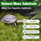 ZeeDix 8 oz Forest Moss for Plants Indoor - Dried Orchid Moss for Repotting, Natural Green Sphagnum Moss for Potted Plants Carnivorous Monstera Succulents Crafts Reptile Habitat (Expands to 12 qt)