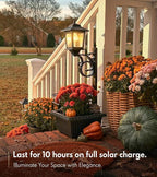 PASAMIC 2 in 1 Outdoor Flower Pots for Real or Fake Flowers, Solar Lamp Post Lights - Wall Mount or Freestanding, Waterproof Decorative Lamp for Lawn, Patio, Front/Back Door