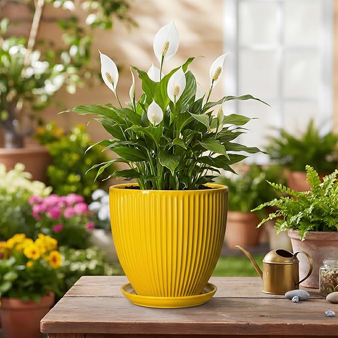 6 Inch Plant Pot, Ceramic Planter with Drainage Hole and Saucer, Decorative Small Plant Pots for Indoor Plants, Modern Round Flower Pot, Home Office Room Decor, House Warming Gifts, Yellow