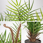 Briful Large Fake Plants 19.7'' Potted Faux Palm Plant Realistic Greenery Artificial Plants Indoor for Home Decor Farmhouse Centerpieces Wedding