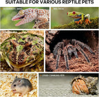 Acrylic Jumping Spider Enclosure - Insect Terrarium for Spiders, Mantises, Tarantulas & Frogs