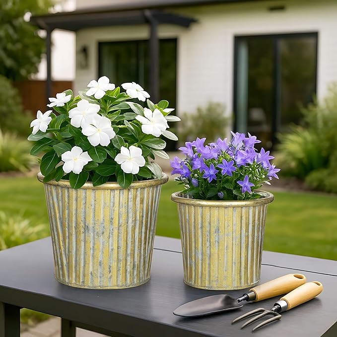 Gold Metal Rustic Flower Pots - 3 PCS Galvanized Planters Rustproof Durable Metal Buckets Plant Pots Vintage-Inspired Charm Rustic for Farmhouse Garden Herb Indoor Outdoor Decor(Dia.5.5"/6.5"/7.1")