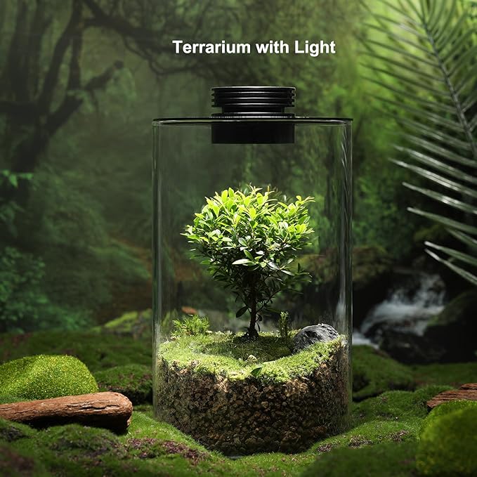 Desktop Glass Plant Terrarium with Grow Light (H:9.8" D:5.9"), for Succulent, Moss, Miniature Gardening Landscape, Betta Fish Tank, Office Home Decoration, Plant Lovers Gifts