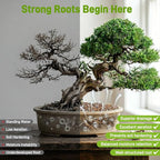 Avalution Bonsai Soil 3QT,Organic Bonsai Soil Mix Perlite,Lava Rock,Pine Bark,Clay Pebbles for Indoor Plants,Premium Fast Draining Pre Mixed Potting Soil for Bonsai Trees Repotting