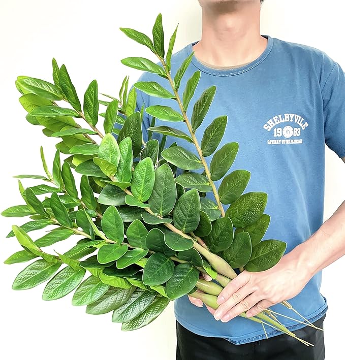 Pack of 10 - Artificial Plants Real Touch Faux ZZ Plant Stems Zamioculas Zamiifolia Tropical Greenery Houseplant for Home Office Aesthetic Decor Indoor and Outdoor (Green)