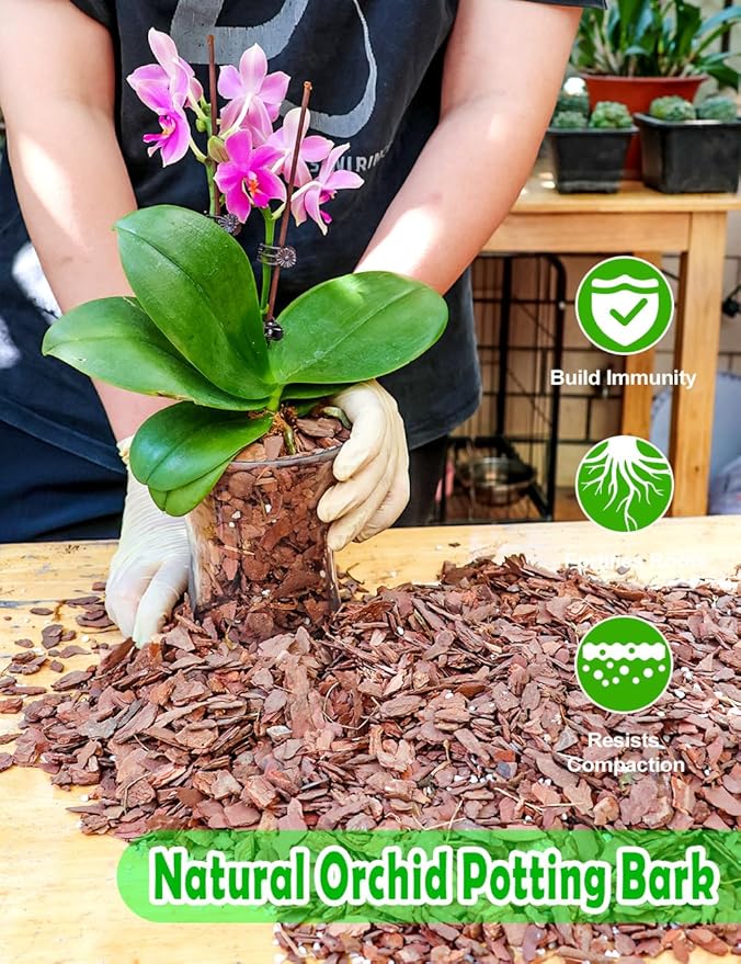 TOYPOPOR Orchid Potting Mix, (6 Quarts)Orchid Bark With Perlite, Potting Soil Medium for Plant Indoor, Pine Bark Wood Chips for Houseplant Fast Drainage, Water Retention, Air Flow and Root Ventilation