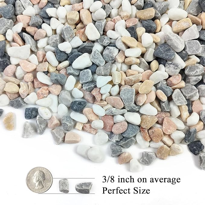 FANTIAN 5 lbs Succulent and Cactus Pebbles for Indoor Plants, 3/8 Inch Pea Gravel Decorative River Rocks for Plants, Vases, Terrarium, Aquarium, Potted Top Dressing and Outdoor Landscaping Stones