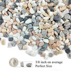 FANTIAN 5 lbs Succulent and Cactus Pebbles for Indoor Plants, 3/8 Inch Pea Gravel Decorative River Rocks for Plants, Vases, Terrarium, Aquarium, Potted Top Dressing and Outdoor Landscaping Stones