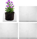 M METERXITY 4-Pack 10 Gallon Plant Root Protector 20x18 Inch, Stainless Stainless Root Guard Baskets Wire Mesh Garden Protection Netting for Tree/Tubers/Crops/Flower/Vegetables/Fruit