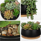 Artificial Succulent Plants in Pot 5.5 Inch Fake Succulents Arrangement Potted Plant in Black Ceramic Planter Bowl with Wood Saucer for Home Office Desk Shelf Living Room Bedroom Bathroom Decor