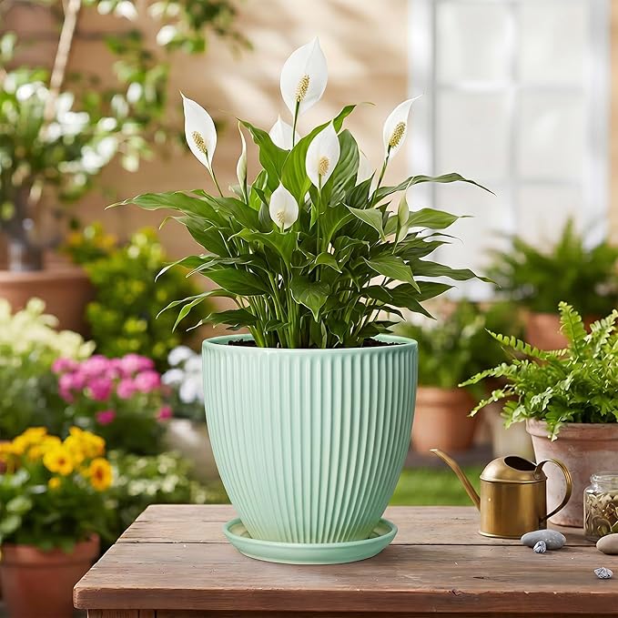 Ceramic Pots for Indoor Plants, 6 Inch Plant Pot with Drainage Hole and Saucer, Round Modern Planters, Decorative Pots for Plants, Home Living Room Decor, Gifts for Plant Lovers, Mint Green