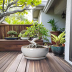 SQOWL 12 Inch Bonsai Pots - Large Ceramic Succulent Pots with Drainage Hole and Saucer, Shallow Planter for Indoor Outdoor Plants Flowers, Round Planter Bowl, Garden Decor, Gifts for Women, Gray