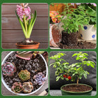 Doter Organic Seed Starter Premium Potting Soil Mix 2qt, All Natural Seed Starter Mix for Fast Germination and Vigorous Seedlings with Strong Root Systems