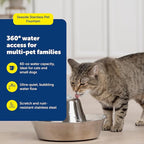 PetSafe Seaside Stainless Steel Cat & Dog Fountain, 60 Oz Water Capacity - 2 Water Filters & 1 Pump Included, Soothing Flow for Pets, Scratch-and Rust-Resistant Material - Quiet Motor