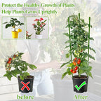 Legigo 6 Pack 30 Inch Plant Support Cages Tomato Cage for Garden- Plant Cages Adjustable Rings, Tomato Plant Support Stakes Trellis for Pots, Peppers, Cucumbers and Flowers with 10 Plant Clips