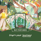 Seedboy 250 Organic Basil Seeds for Planting Indoor and Outdoor, Non-GMO and USDA Certified Herb Seed Packet for Hydroponic Garden Indoor or Planting Outdoors (Genovese Basil)