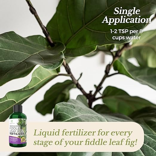Professional Fiddle Leaf Fig Fertilizer Liquid 3-1-2 Concentrate 8 oz, Premium Fiddle Leaf Fig Plant Food for Indoor House Plants, Liquid Fertilizer for Fiddle Leaf Fig Plants